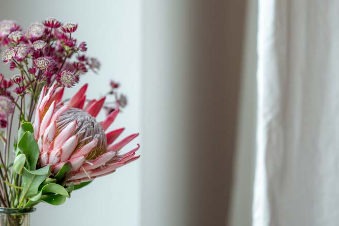 SEMINARRAUM »PRANA« | Ojas Therapie- und Seminarzentrum | Nähe Mondsee