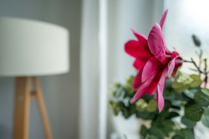 THERAPIERAUM »PITTA« | Ojas Therapie- und Seminarzentrum | Nähe Mondsee